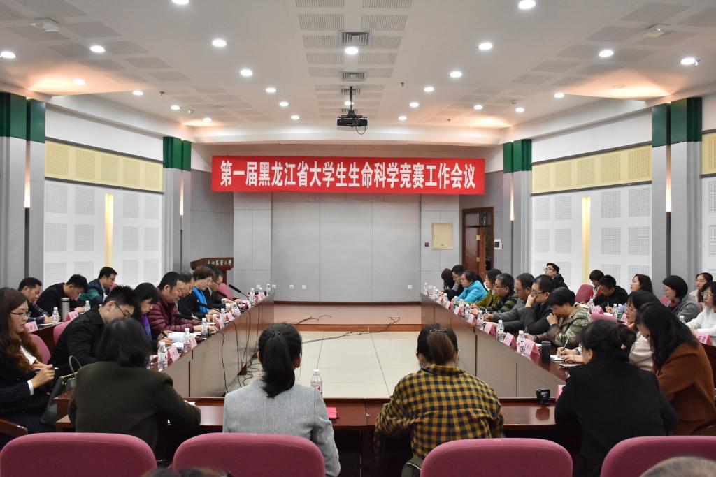 会议现场